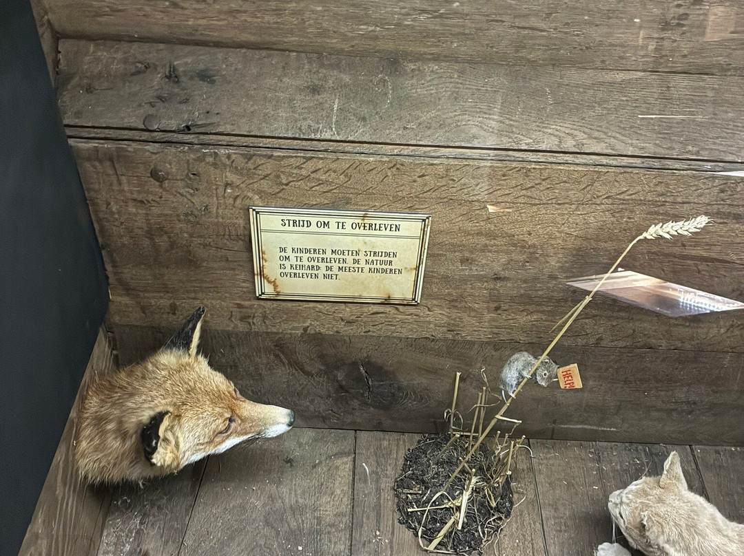 Natuurmuseum Fryslan-吕伐登必去景点