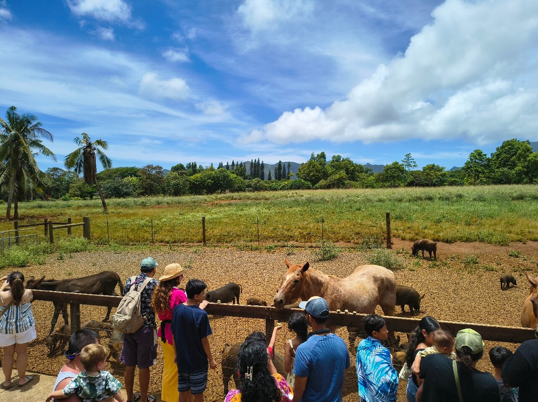 Kauai Plantation Railway-利胡埃必去景点