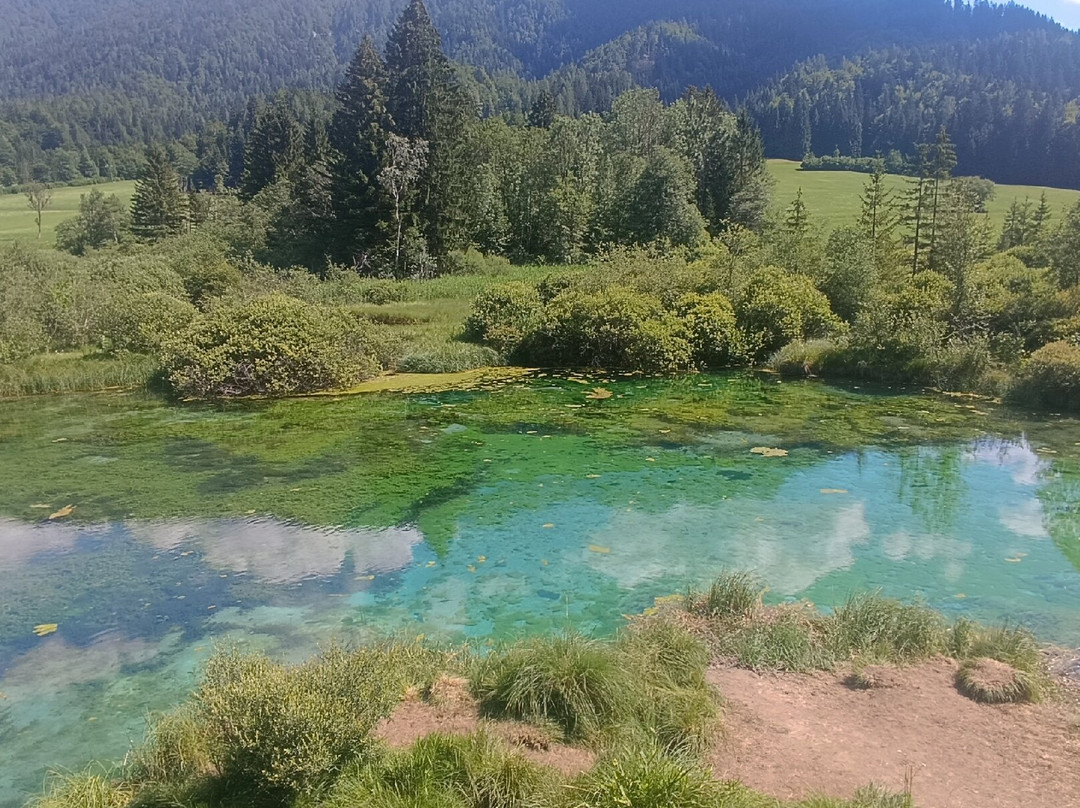 Zelenci Nature Reserve-Kranjska Gora必去景点