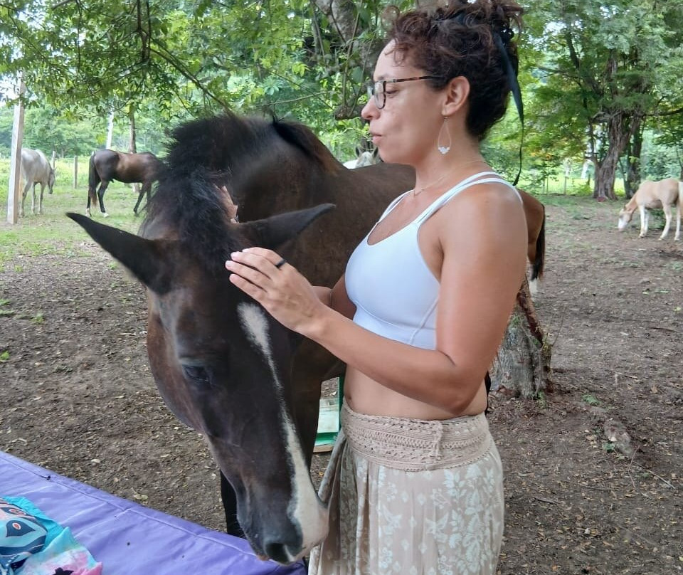 Horse Spirit Healing-Cabuya必去景点