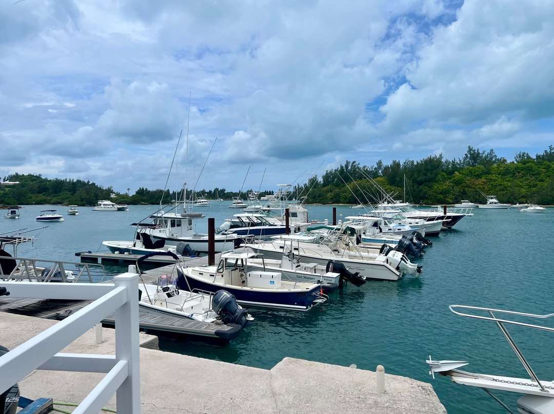 Dive Bermuda at Somerset-Sandys Parish必去景点