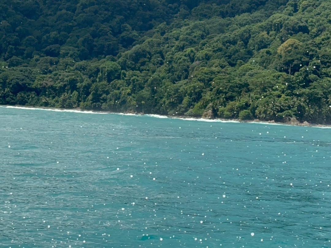 Jaguar Corcovado Tours-希门尼斯港必去景点