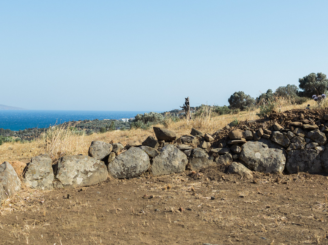 Botaniá - Mediterranean Herb Farm & Experiences-Agia Galini必去景点