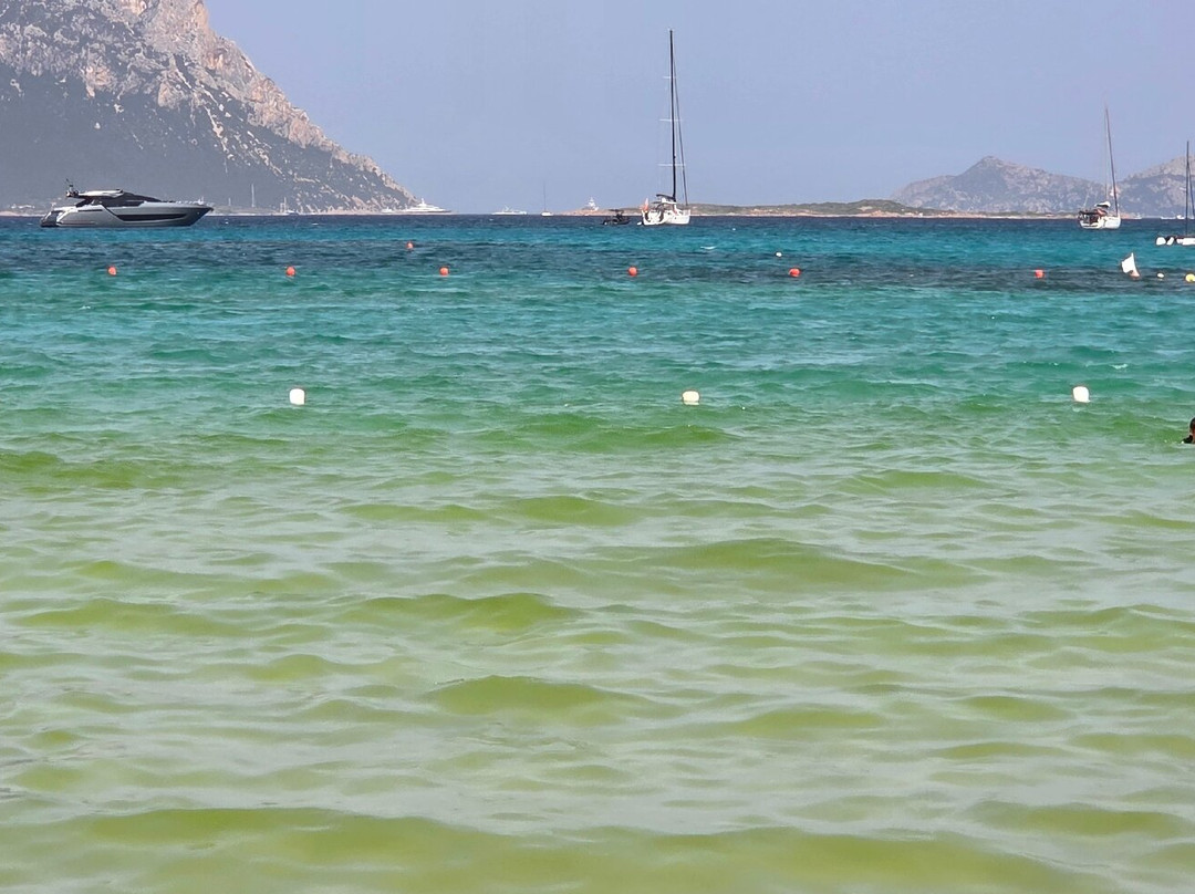 Spiaggia di Lu Impostu-San Teodoro必去景点
