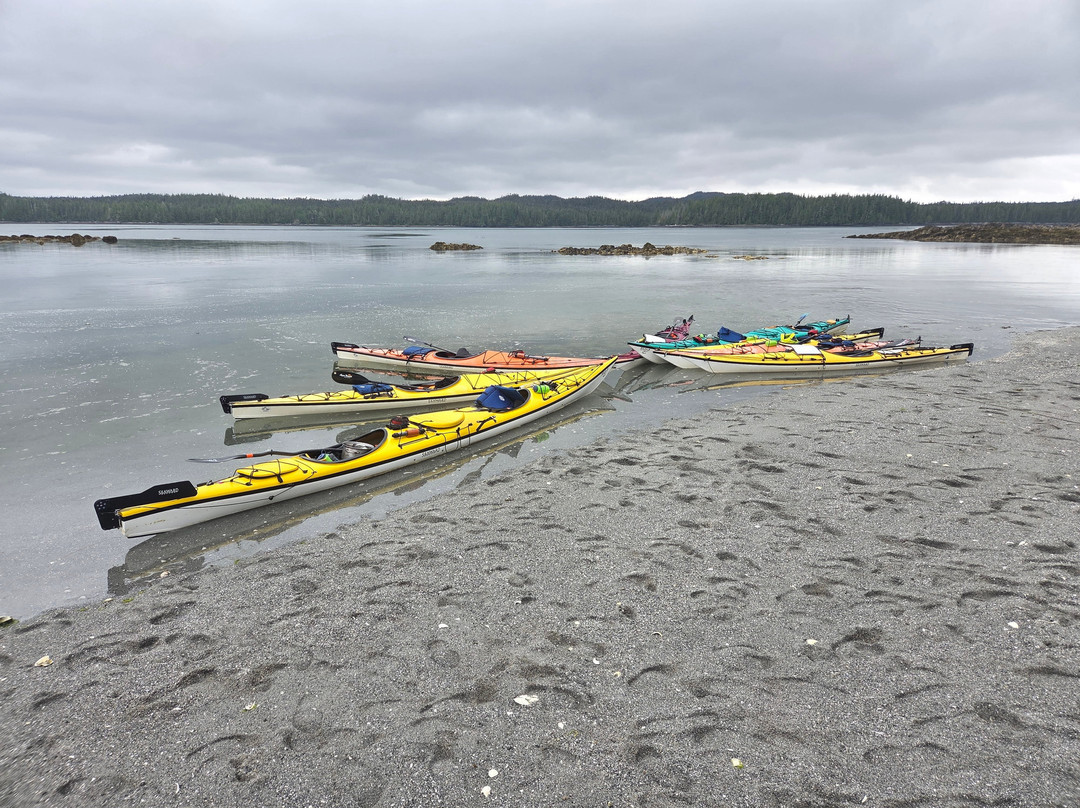 Kingfisher Wilderness Adventures-Port McNeill必去景点