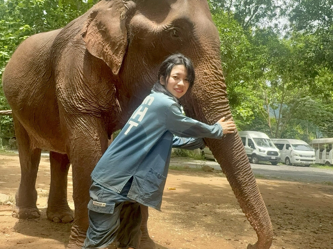 Manifa Elephant Camp-Sang Ha必去景点