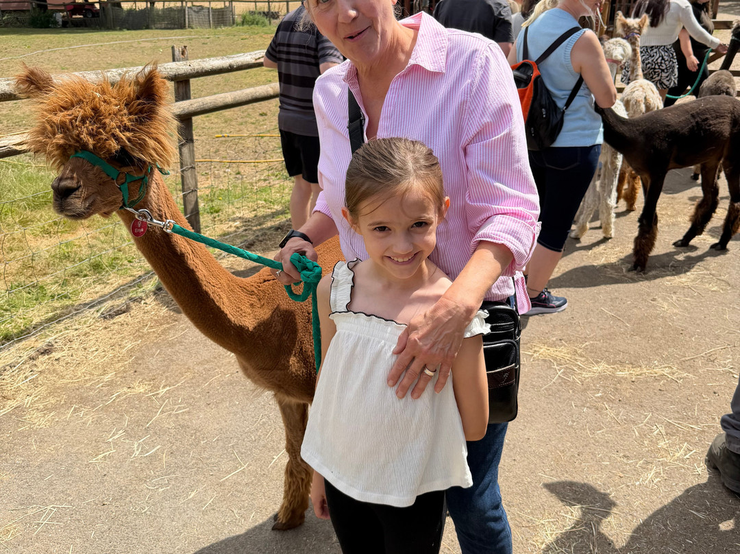 Pennybridge Farm Alpacas-胡克必去景点