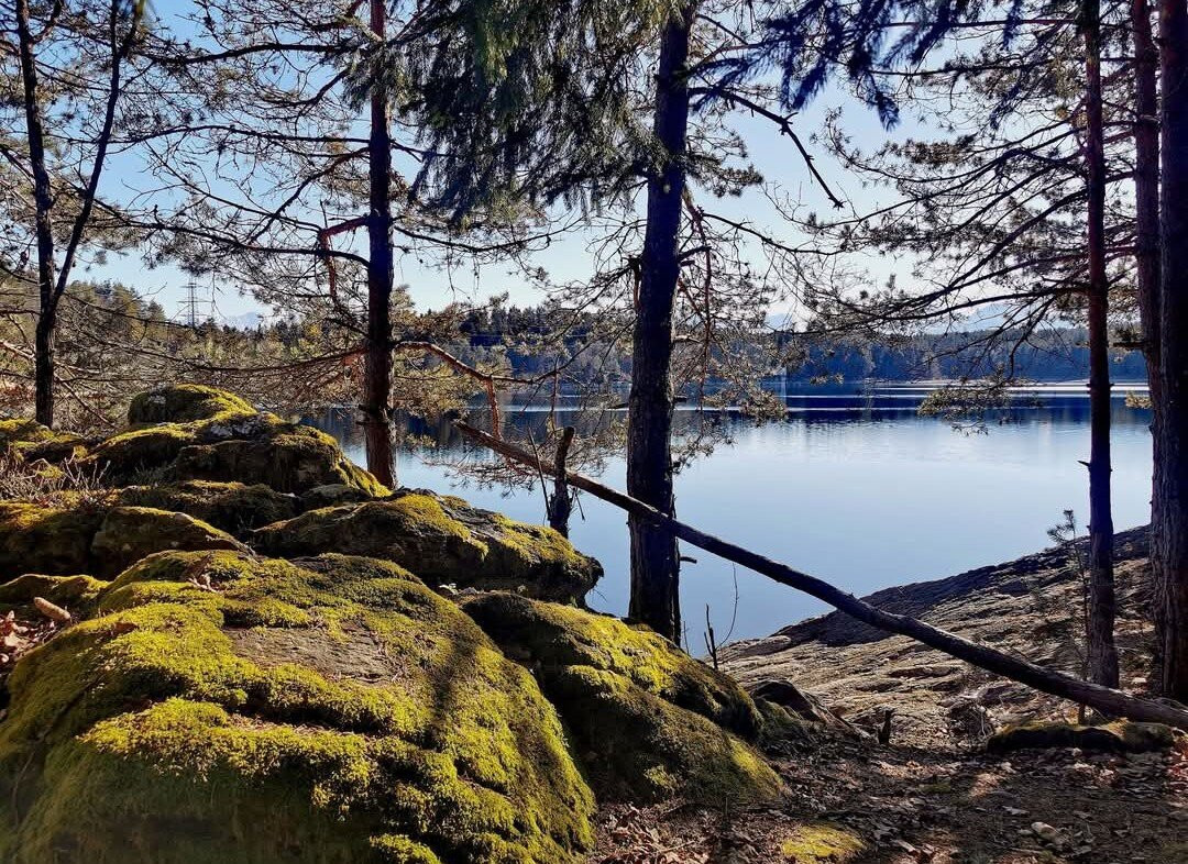 Forstsee Runde