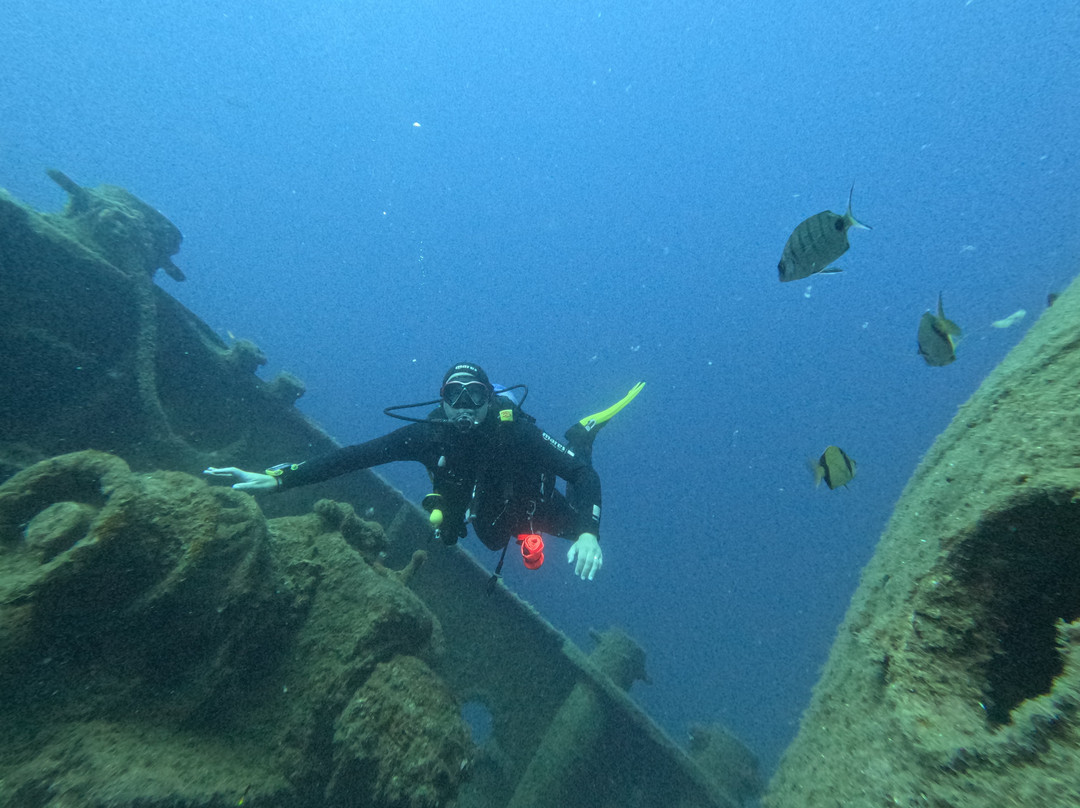 Ecological Divers Tenerife-Los Abrigos必去景点