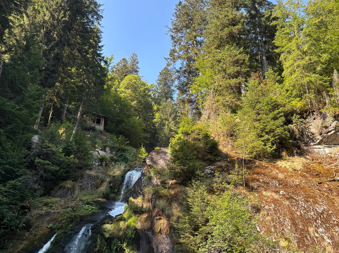 Triberger Waterfall-特里贝格必去景点