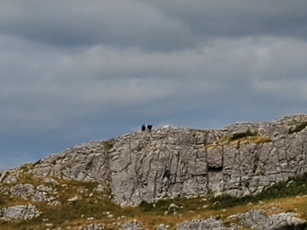The Burren-克莱尔郡必去景点