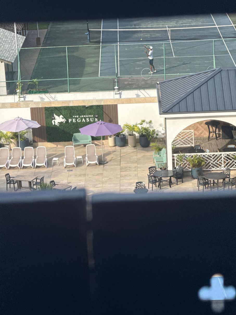 牙买加佩格萨斯酒店-旅行者