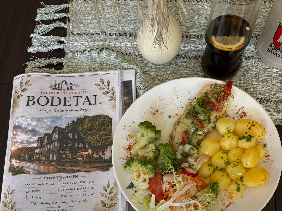 Hotel - Restaurant Gasthaus Bodetal主图