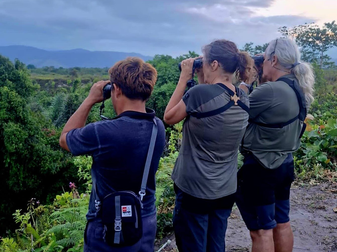 Tentena wildlife tour and Lorelindu national park-Tentena必去景点