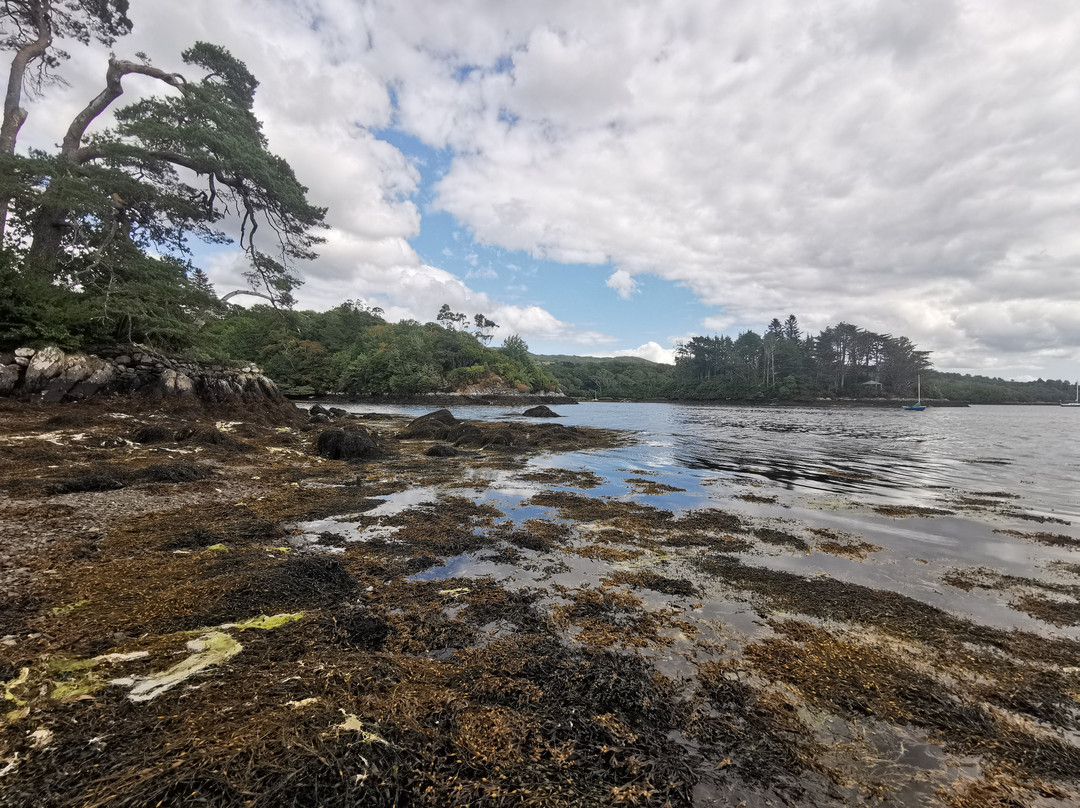 Glengarriff Bamboo Park-Glengarriff必去景点