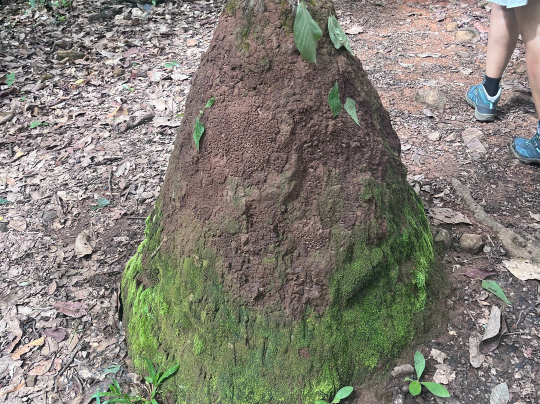 Temo Trekking-Mueang Len必去景点