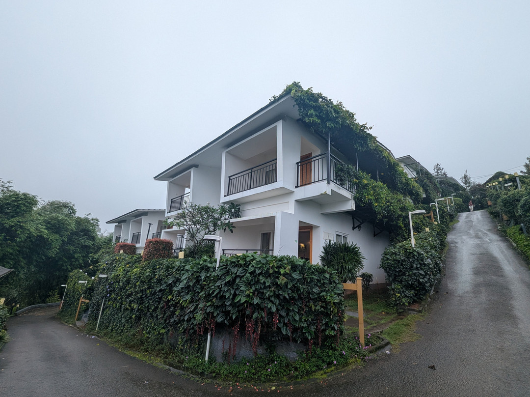 慕那尔落叶酒店主图