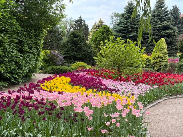 Botanical Garden of the University of Wrocław-弗罗茨瓦夫必去景点