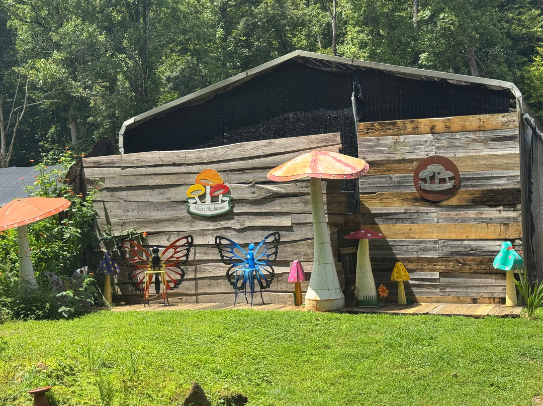 Ellijay Mushrooms - Farm Store