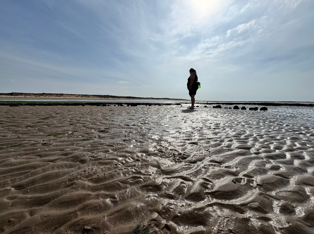 Holme-next-the-sea Beach-Hunstanton必去景点