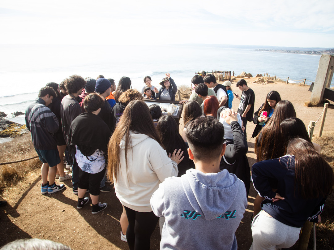 Parque Punta De Lobos-皮钦勒姆必去景点