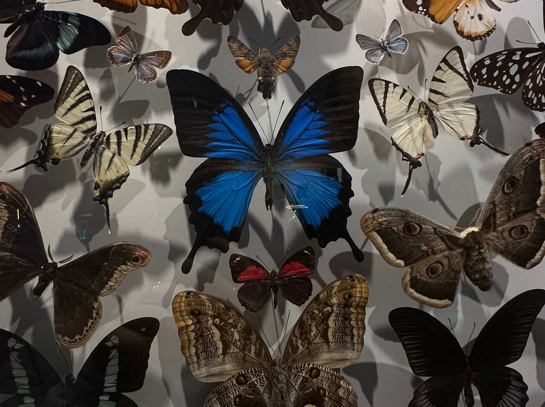 PHENOMENA - Interactive Museum of Science and Art-索非亚必去景点