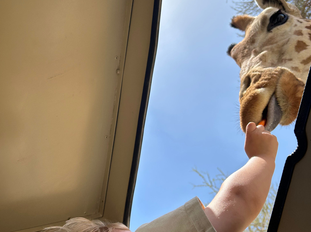 Al Ain Zoo 2017 2018 2019-艾因市必去景点