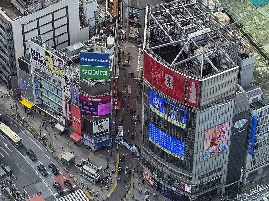 Shibuya Sky-涩谷区必去景点