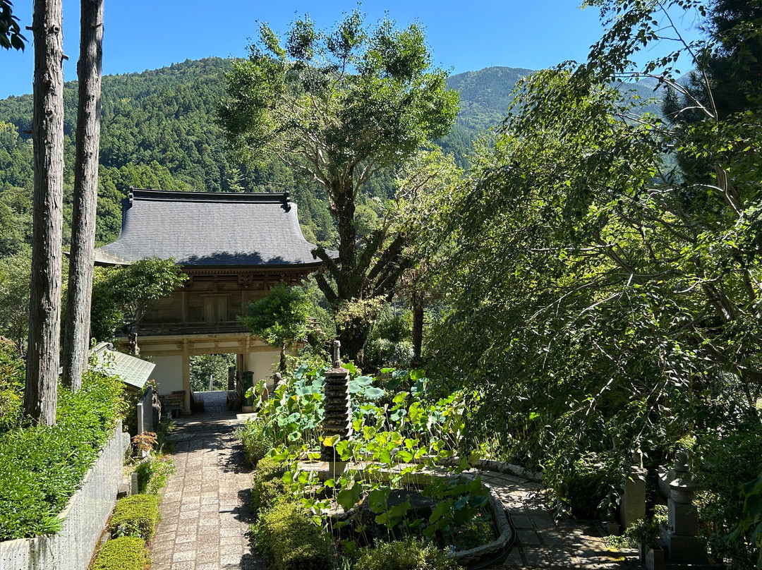 Teifukutera Temple-大豊町必去景点