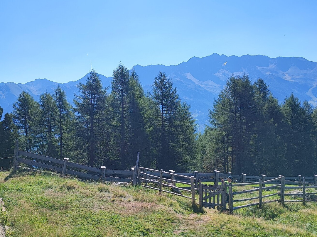 Holzerböden malga