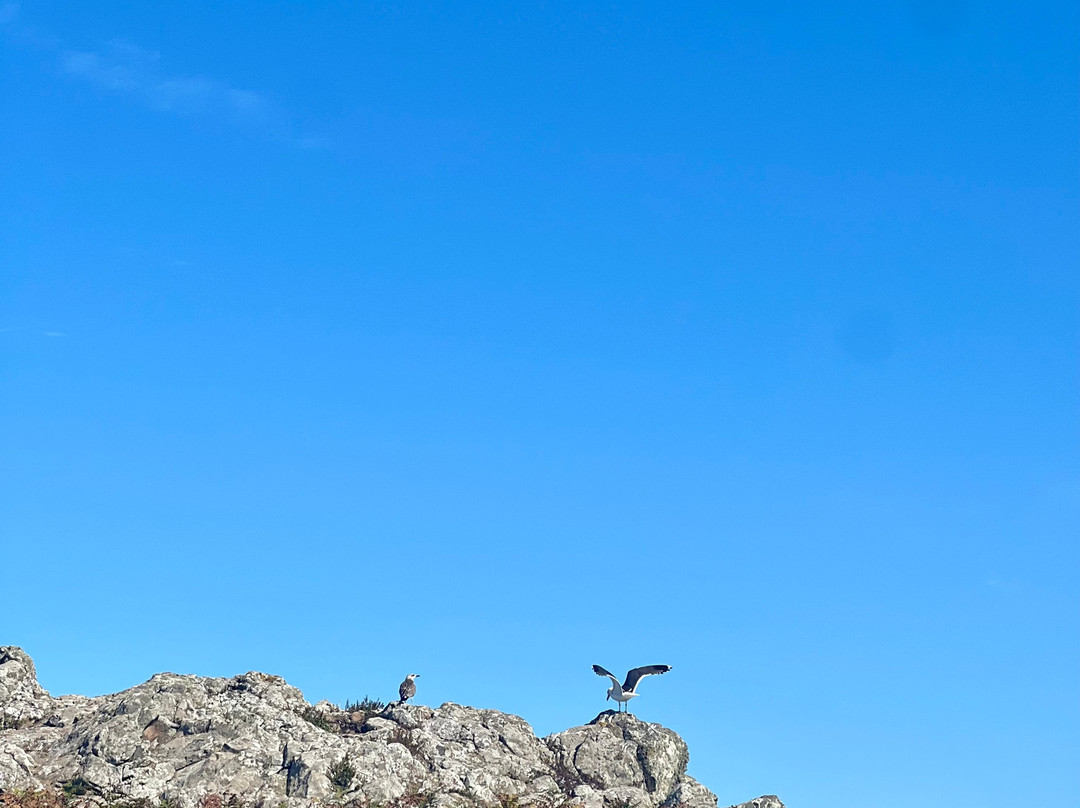 Pembrokeshire Islands Boat Trips-Marloes必去景点