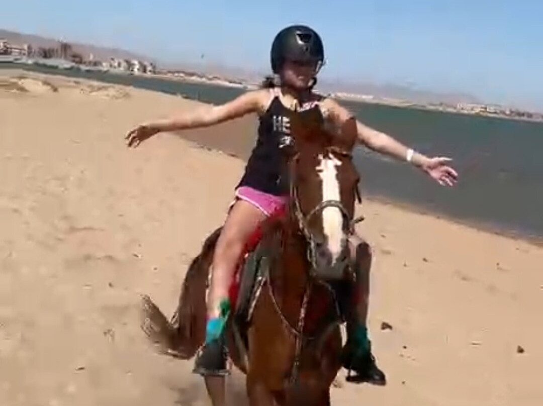 Nice Horse Tours-Hurghada 1必去景点