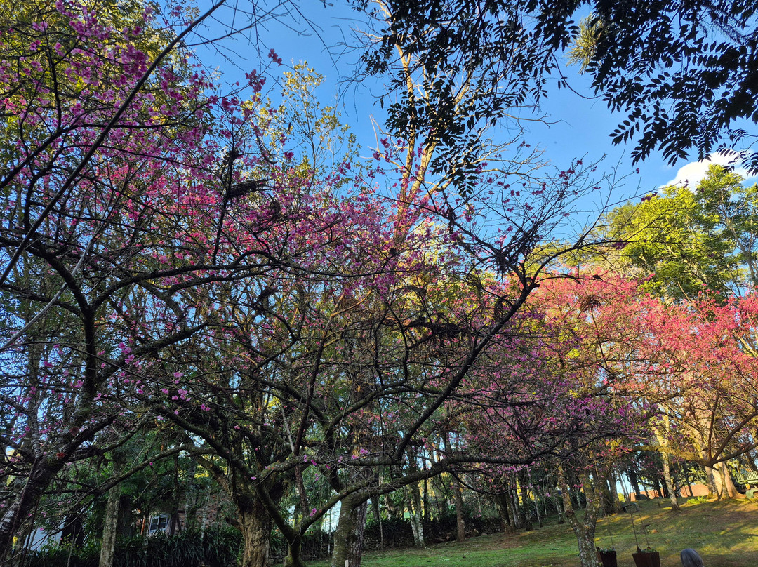 Parque Aldeia do Imigrante-Nova Petropolis必去景点