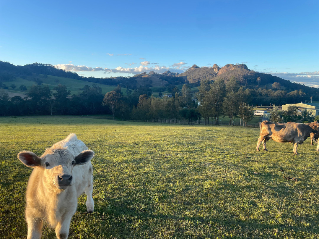Gloucester River Wines