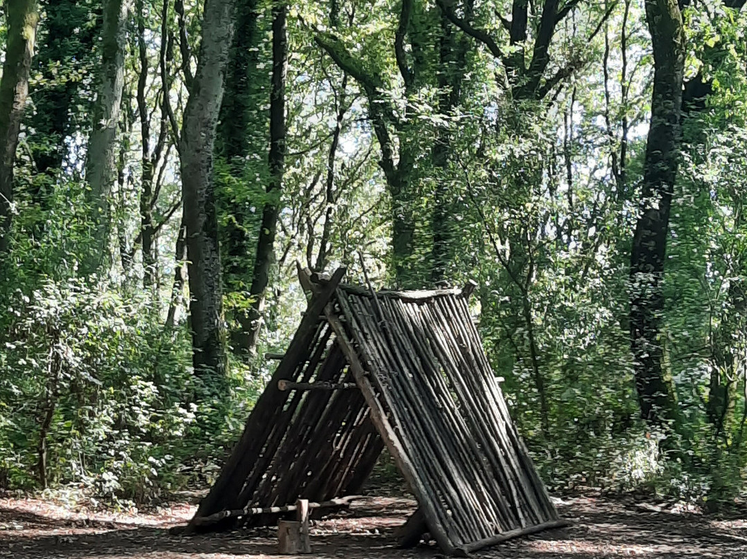 Il Bosco di Paliano-Paliano必去景点