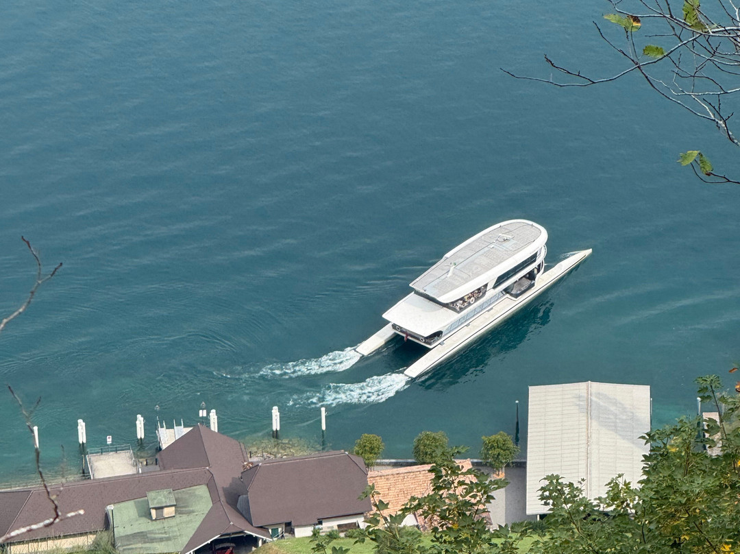 Bürgenstock Hotel & Alpine Spa主图
