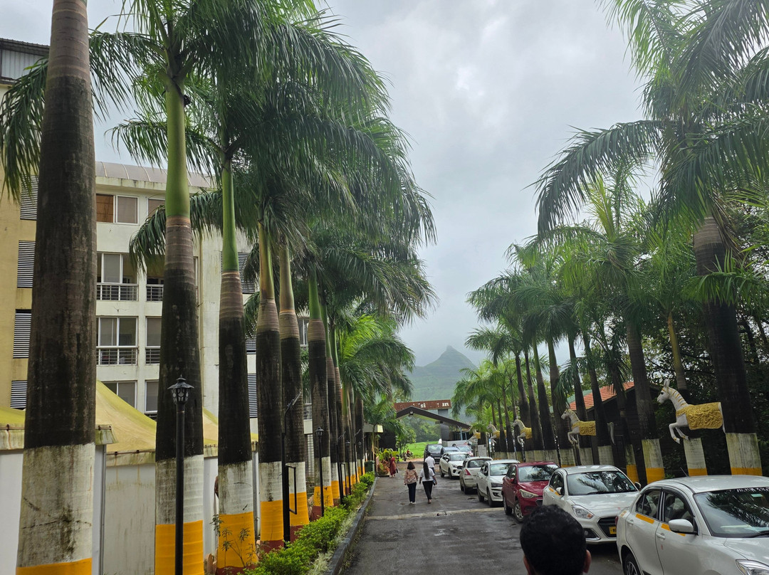 阿拉利亚雨林度假村，伊加普里主图