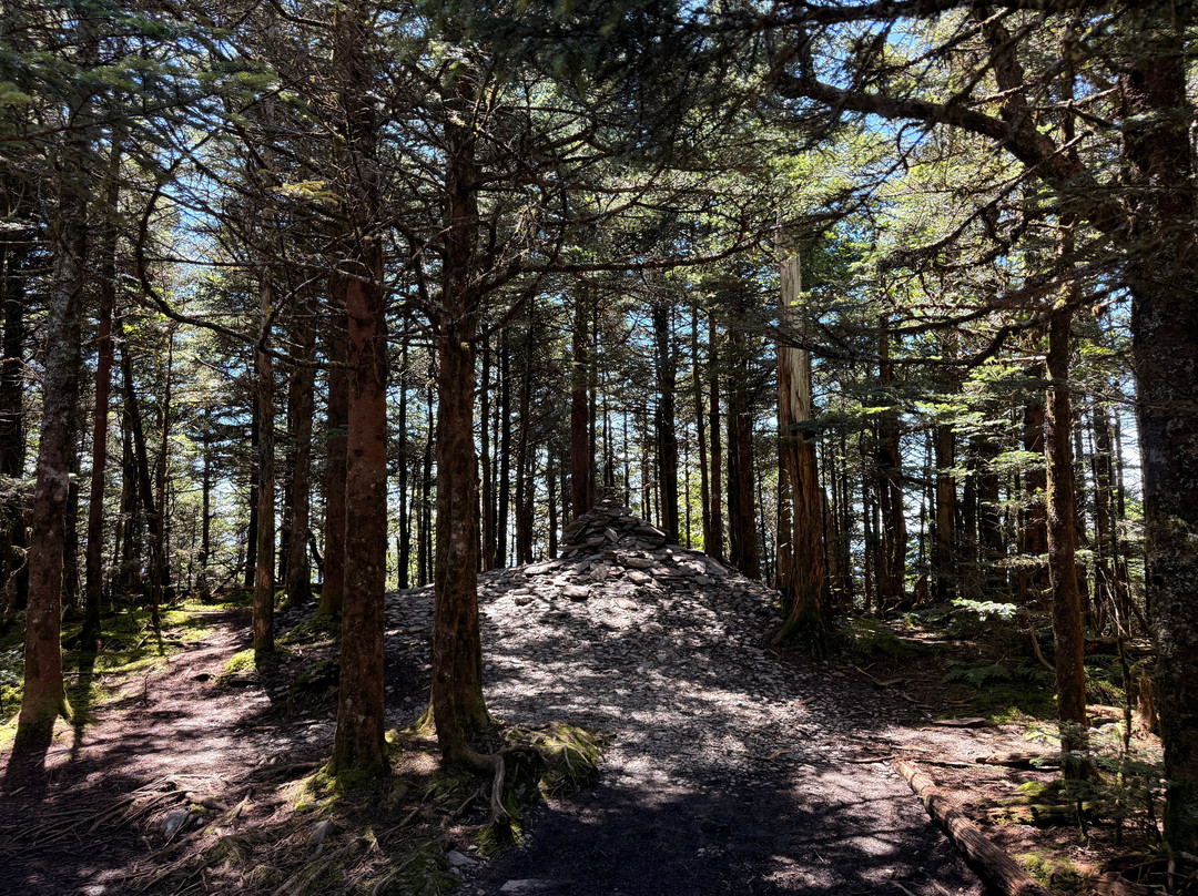 Mount LeConte-大雾山国家公园必去景点