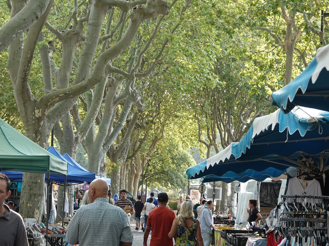 Place Carnot-卡尔卡松必去景点