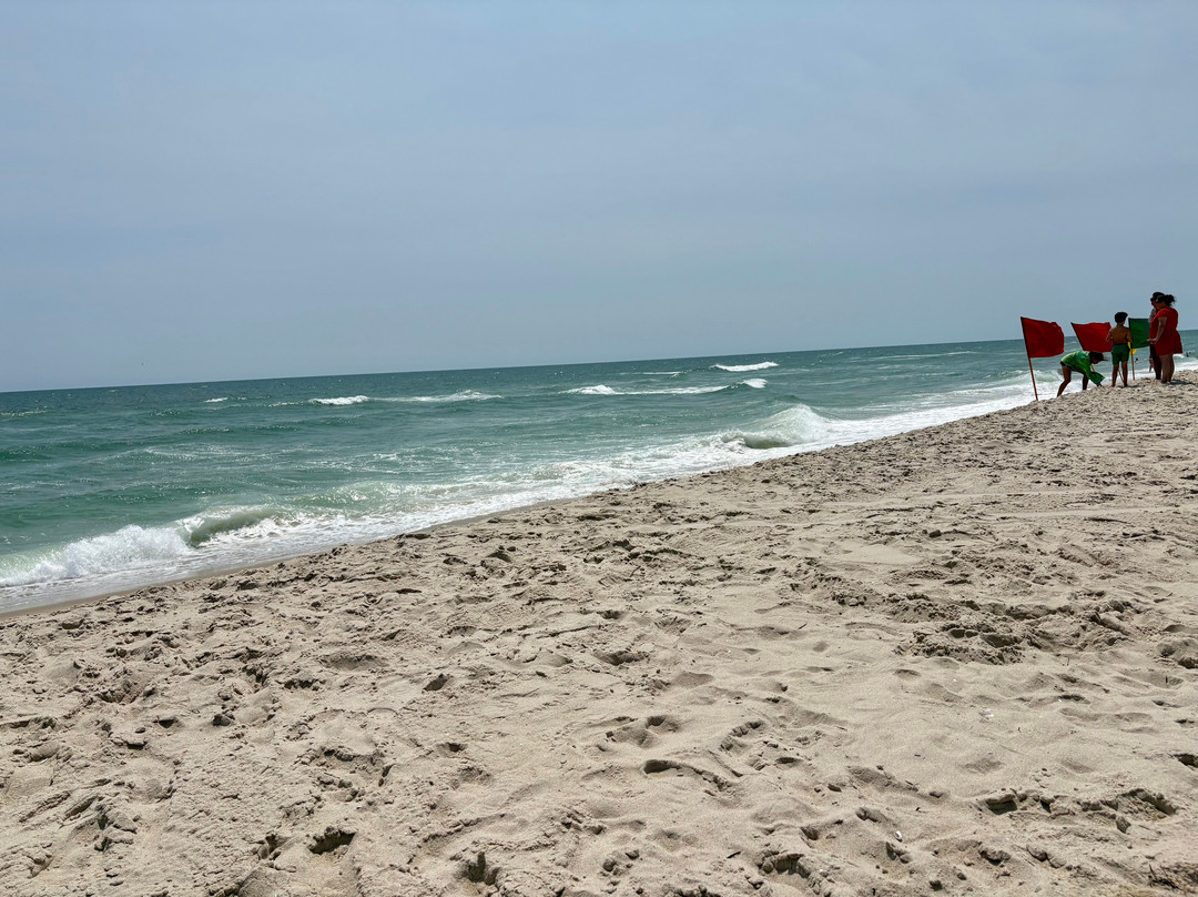 Robert Moses State Park-Fire Island必去景点