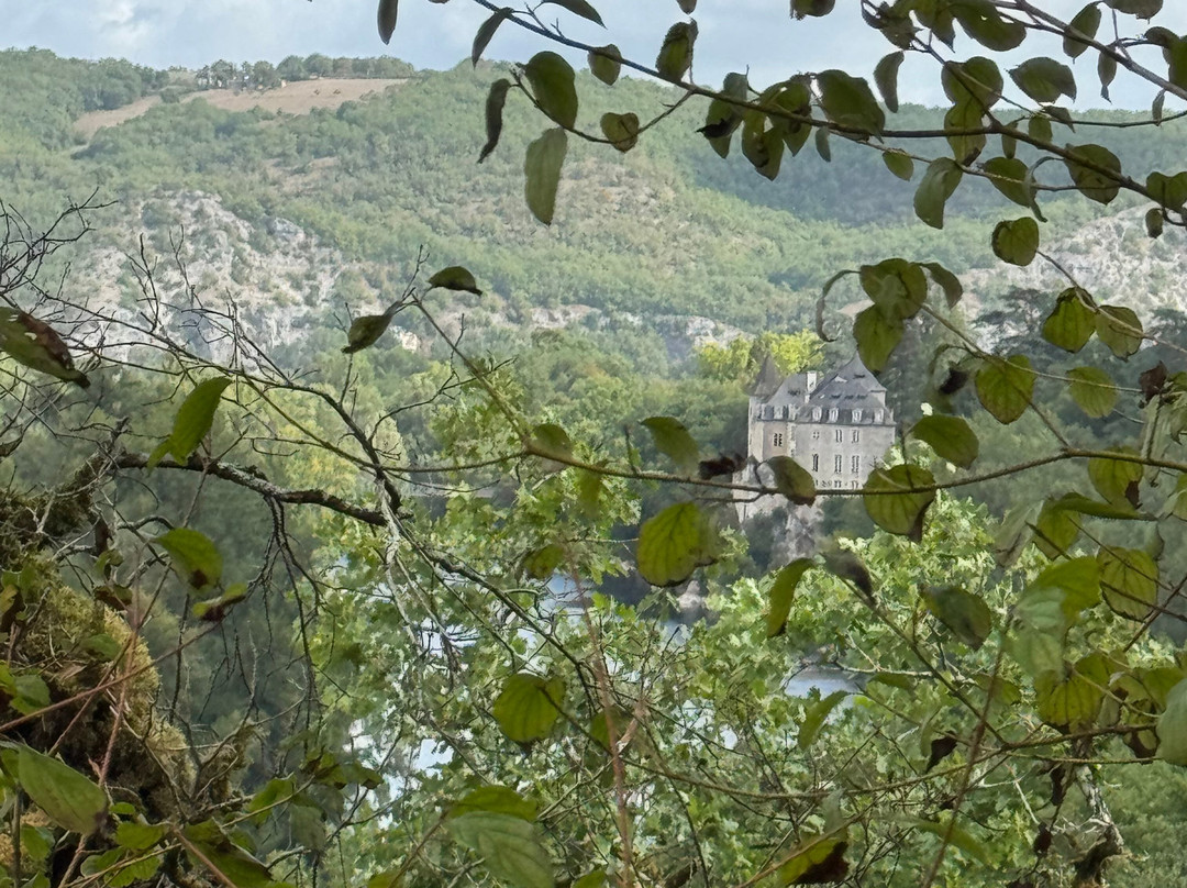 Chateau de la Treyne主图