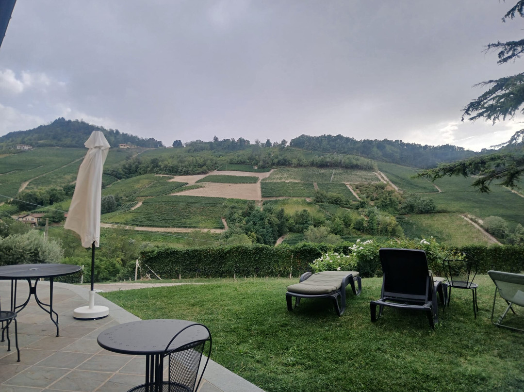 Costa di Bussia - Tenuta Arnulfo-蒙福特-达尔巴必去景点