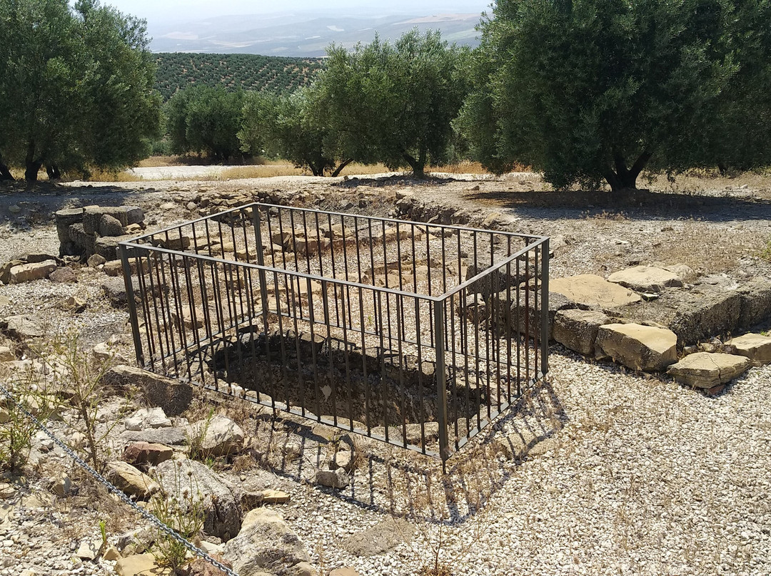 Torreparedones Parque Arqueologico-Baena必去景点