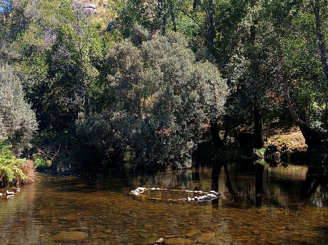 Praia Fluvial de Folgosa-Castro Daire必去景点