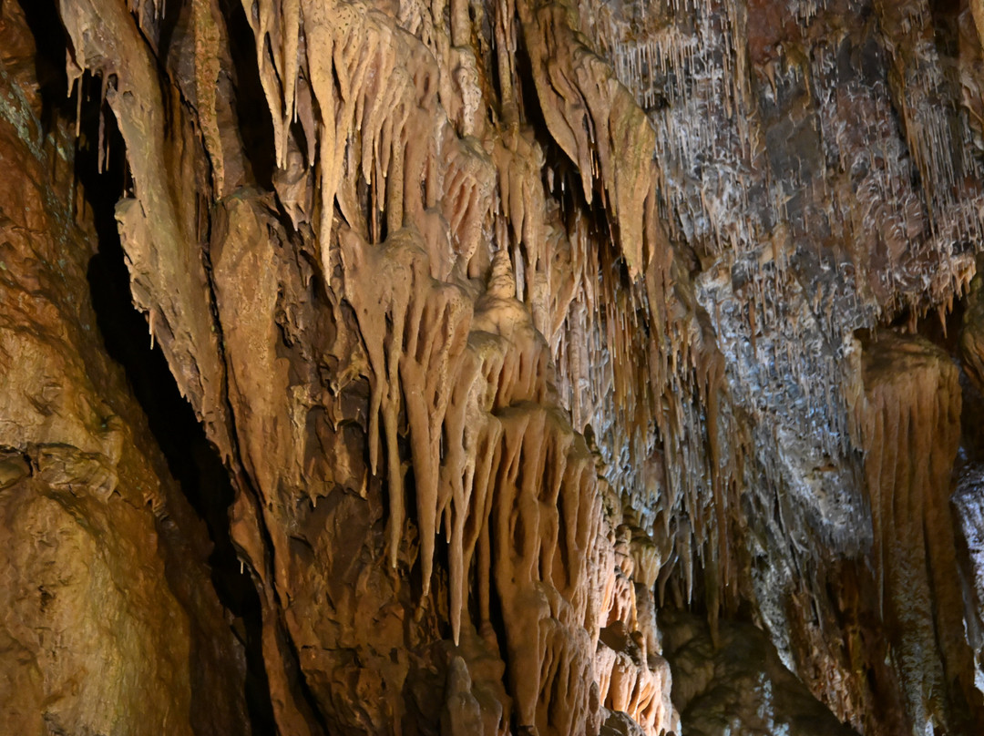 Smoke Hole Caverns-Seneca Rocks必去景点