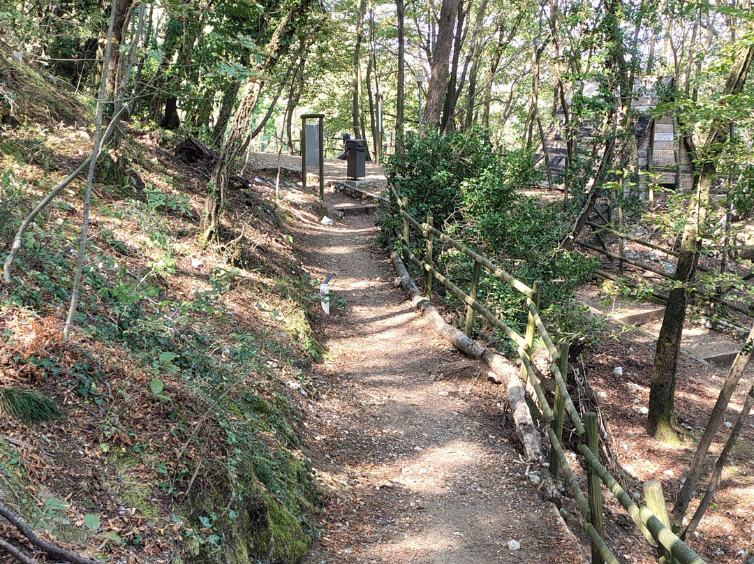 Bosco Allegro-Sant'Anna di Alfaedo必去景点