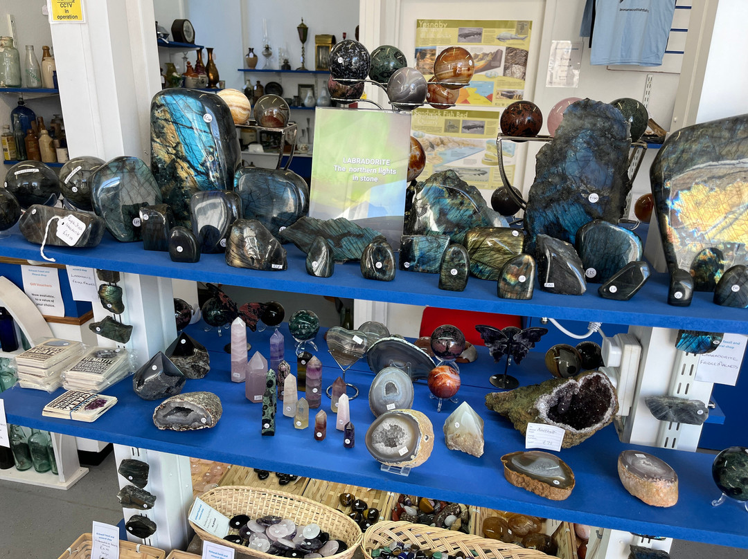 Kirkwall Fossil & Mineral Shop