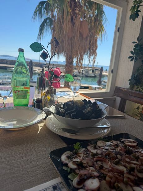 米利尼酒店-旅行者