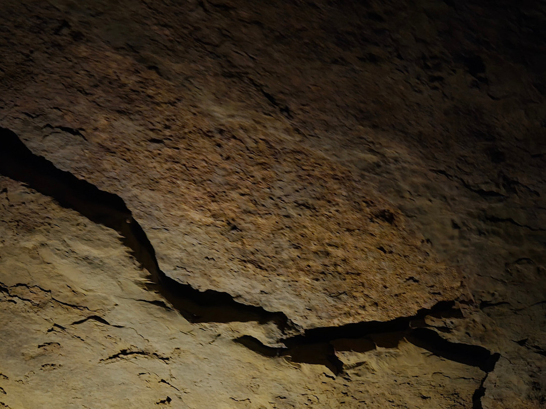 Indiana Caverns-Corydon必去景点