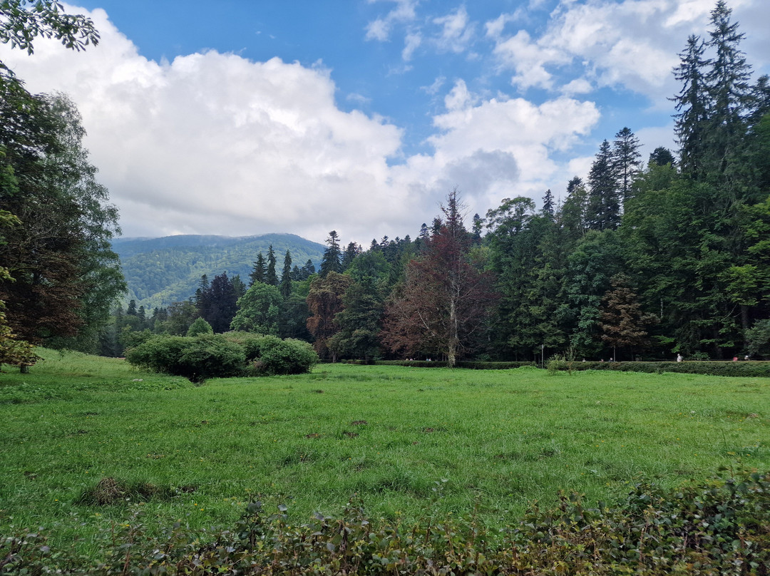 Pelișor Castle-锡纳亚必去景点